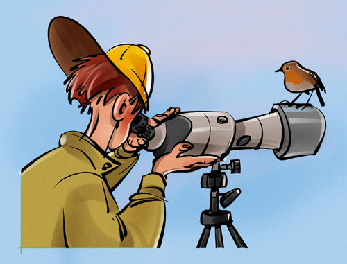 birdwatcher